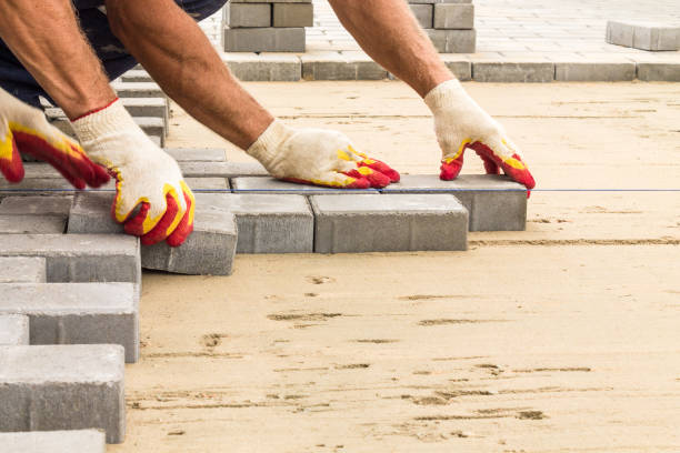 Best Residential Paver Driveway  in Olympia Fields, IL